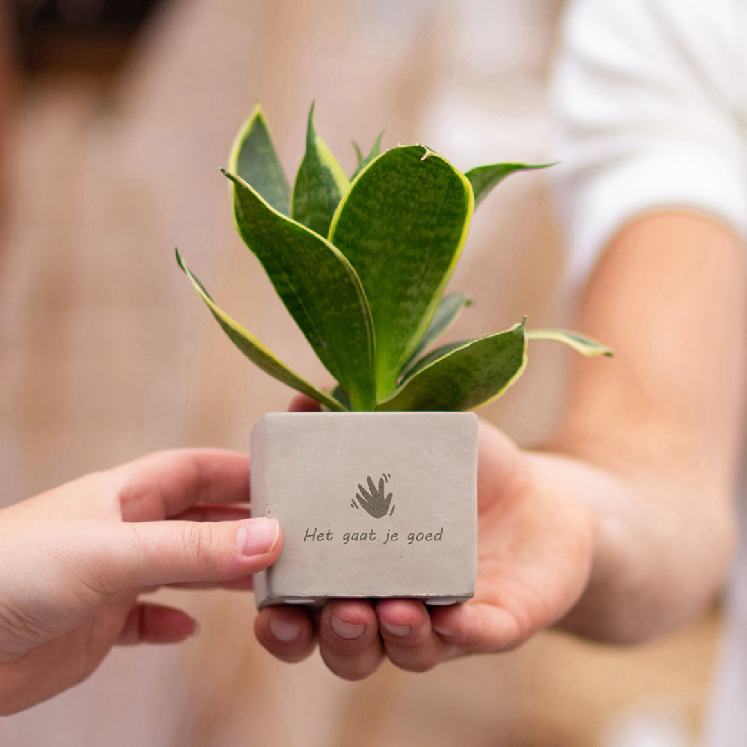 Groen geschenk met een Congreet® plantpots zwaaigebaar met een gepersonaliseerde boodschap
