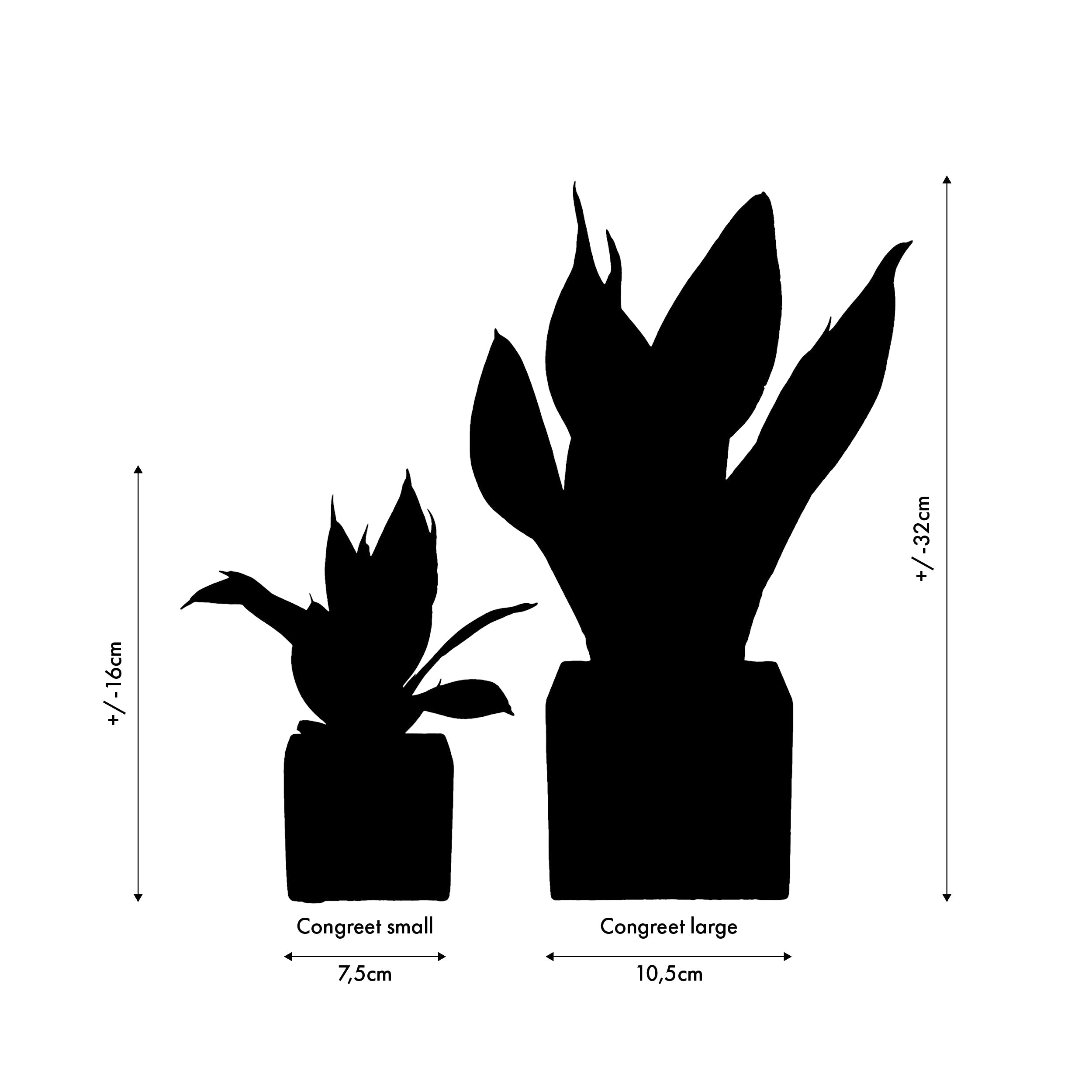 Congreet plantpots cadeau small en een large