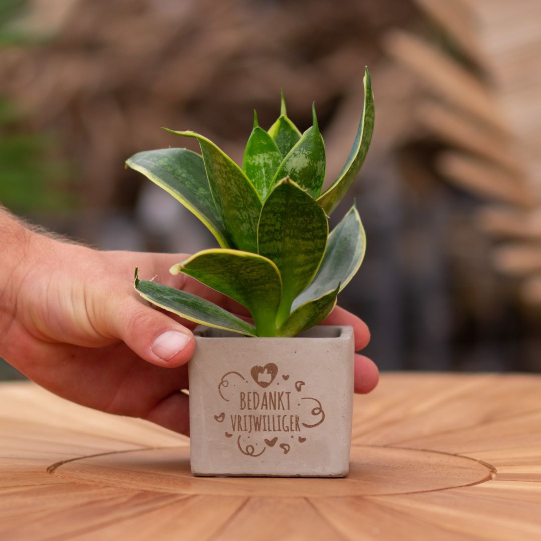Plant als cadeau met een Congreet® plantpots | Bedankt vrijwilliger