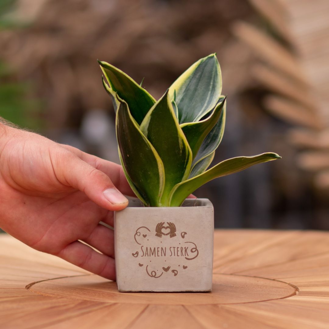 Plant als cadeau met een Congreet® plantpots | Samen sterk