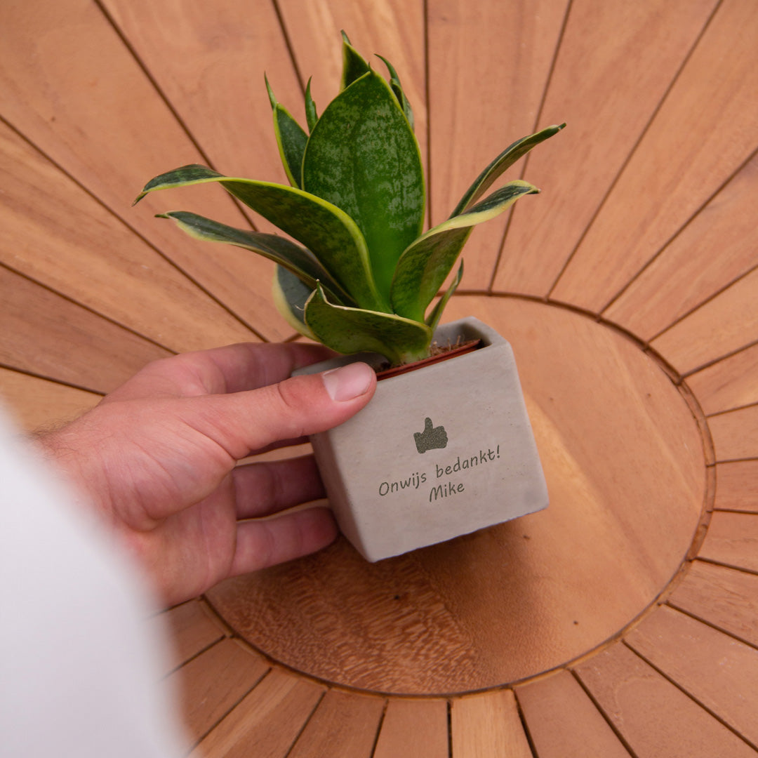 Groen geschenk met een Congreet® plantpots duimpje met een naam of datum